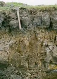 Gleissolo Sálico (Sistema Brasileiro de Classificação de Solos, 2018)