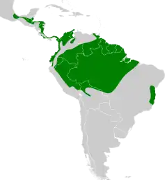 Distribuição do arapaçu-de-bico-de-cunha na América Central e América do Sul
