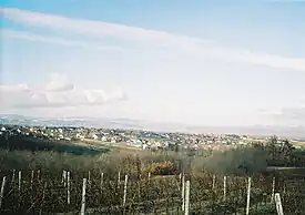 Vue générale de Gornja Omašnica