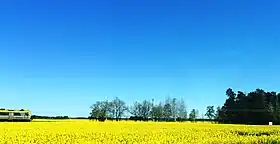 Campo cerealífero em Grästorp