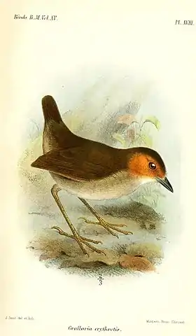Ilustração de Joseph Smit, 1890