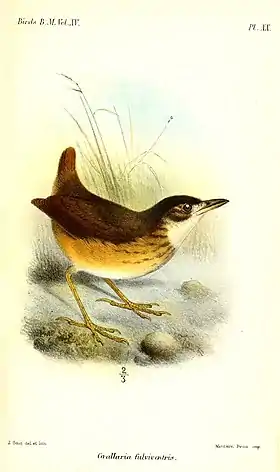 Ilustração de Joseph Smit, 1890