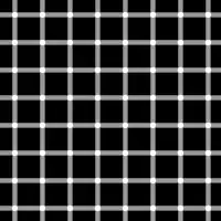 Ilusão da grelha cintilante: pontos escuros parecem aparecer e desaparecer rapidamente em cruzamentos aleatórios, daí o rótulo "cintilante".