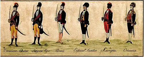 Militares das tropas da Capitania de Goiás em 1782: Cavalaria auxiliar, Dragões pagos, Pedestres, Infantaria Auxiliar, Henriques (negros livres) e Ordenança.
