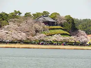 Cerejeiras junto ao lago Gyeongpo