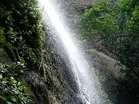 Cascata na Reserva Natural de Chocoyero.