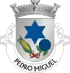Brasão de armas de Pedro Miguel