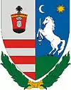 Brasão de armas de Bálványos
