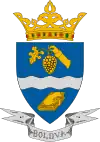 Brasão de armas de Boldva
