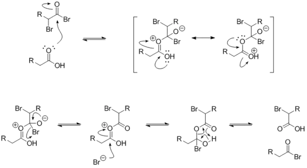 Parte final do Inferno-Volhard-Zelinsky