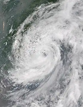 imagem ilustrativa de artigo Tempestade tropical Hagibis (2014)