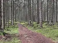 Reserva natural de Halen