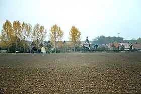 Horizonte de Hammerstedt