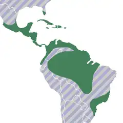 Mapa de distribuição considerado o conceito de superespécie Heterotaxis crassifolia conforme o texto.