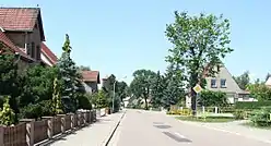 Horizonte de Hohenbucko