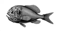 O Hoplostethus atlanticus, o peixe-relógio do Atlântico.