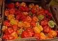 Pimentas Scotch bonnet em um mercado do Caribe
