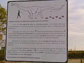 Pegadas de Dinossauro em Cuchilla del Ombú