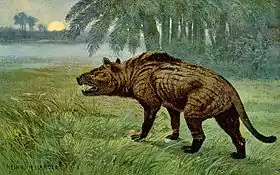 Hyaenodon gigas um creodonte