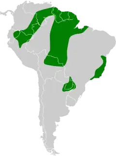 Distribuição de H. sapphirina
