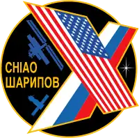 Insígnia Expedição 10