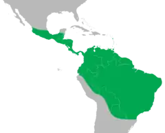 Distribuição da iguana-verde
