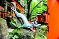Uma fonte de raposa no Fushimi Inari-taisha