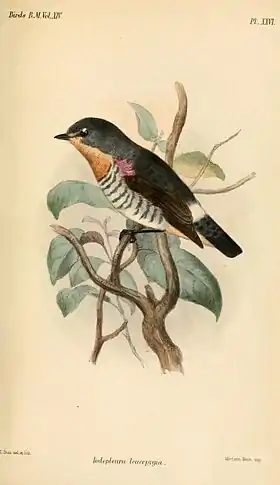 Ilustração de Joseph Smit, 1888