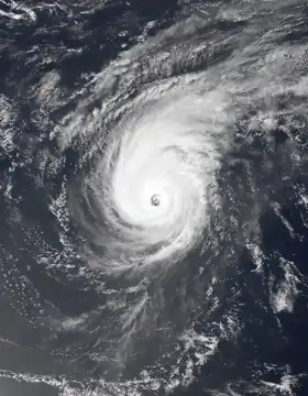 imagem ilustrativa de artigo Tufão Isa