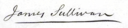 Assinatura de James Sullivan