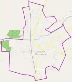 Localização de Janowiec Wielkopolski na Polónia