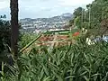 Jardim Botânico, com o Funchal ao fundo.