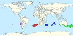 Distribuição aproximada das espécies extantes de Jasus.Laranja: J. caveorum; rosa: J. frontalis; vermelho: J. tristani; amarelo: J. lalandii; azul: J. paulensis; verde: J. edwardsii.