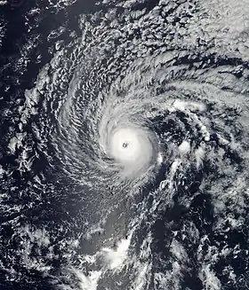 imagem ilustrativa de artigo Furacão Jimena (2003)