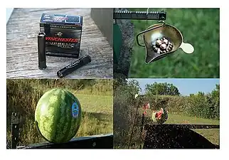 Disparados de um cano curto, em câmaras de 2,5 polegadas, os balotes têm 71 grãos cada e há doze bagos de número 4.