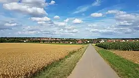 Horizonte de Kürnach