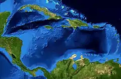 A região leste do mar do Caribe (imagem) e Bahamas são os habitats da espécie C. cedonulli, em águas rasas.