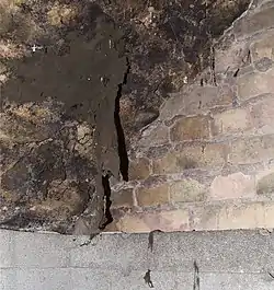 Camadas pendentes de bolores negros da espécie Zasmidium cellare.