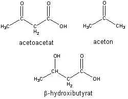Estruturas químicas dos três corpos cetônicos