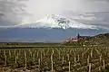 Monastério Khor Virap e Ararat.