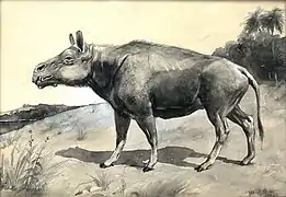 Um Entelodonte por Charles R. Knight