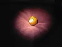 O botão que, segundo a lenda, matou o rei Carlos XII, em 1718.