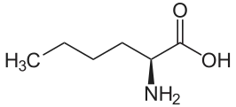 120px
 IUPACName = Norleucine