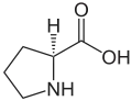 Prolina (Pro / P)