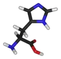 Histidina (His / H)