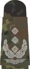 Oberst(Flecktarn)