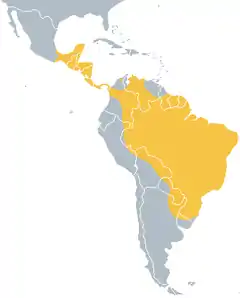 Amarelo = Reprodução