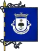 Bandeira de Lagares e Figueira