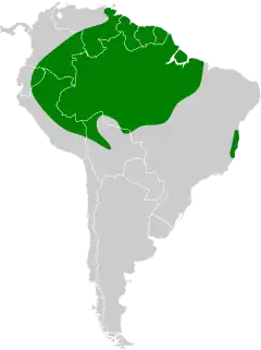 Distribuição da chorona-cinza