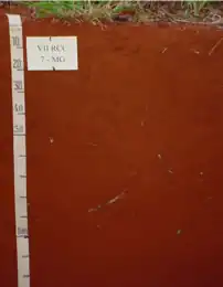 Latossolo Vermelho (SiBCS, 2018)